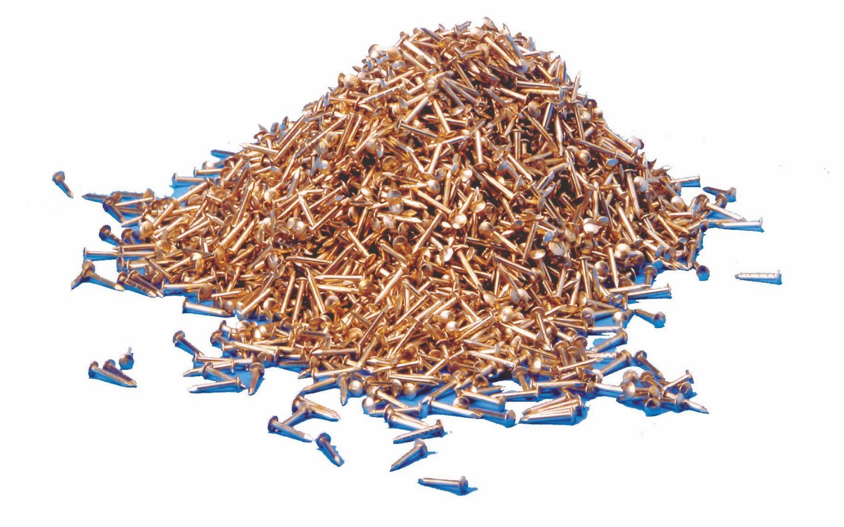 Spezialnägel 1000 Stück