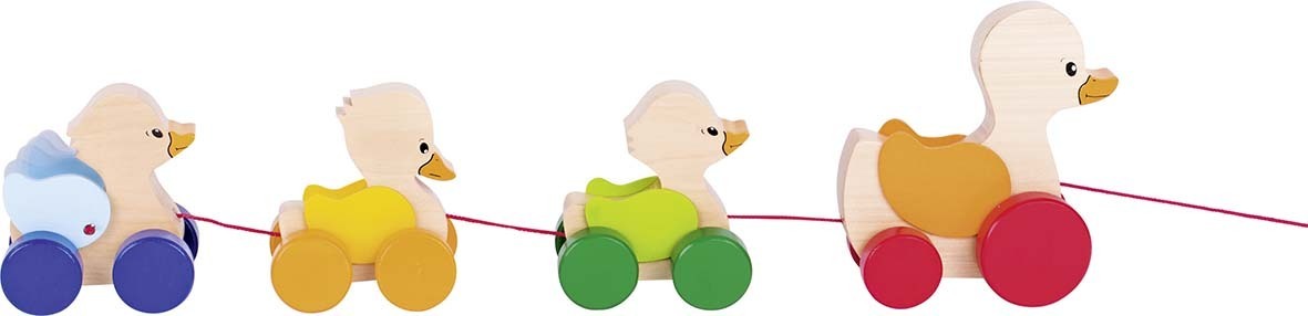 Ziehtier Entenfamilie