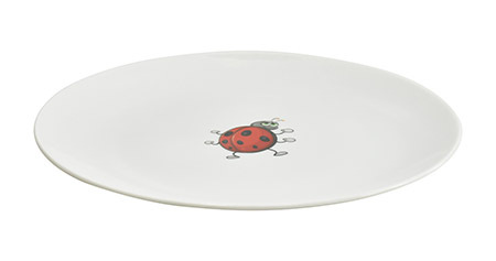 Serie Tiere Käfer Cover